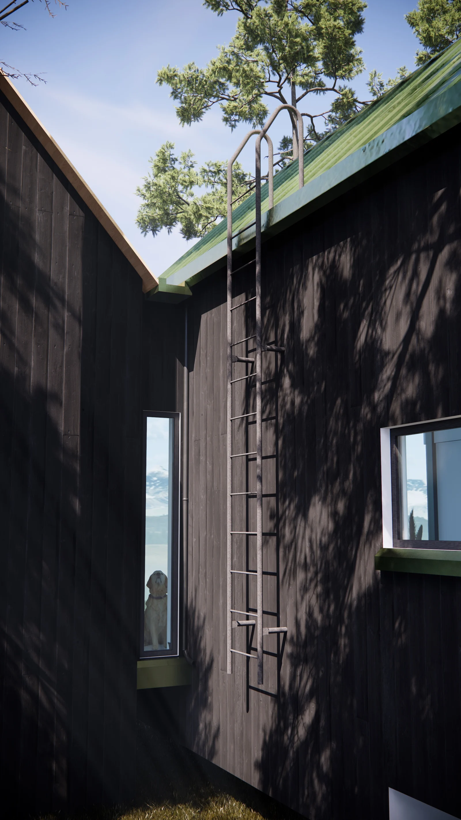 Material and spatial detail