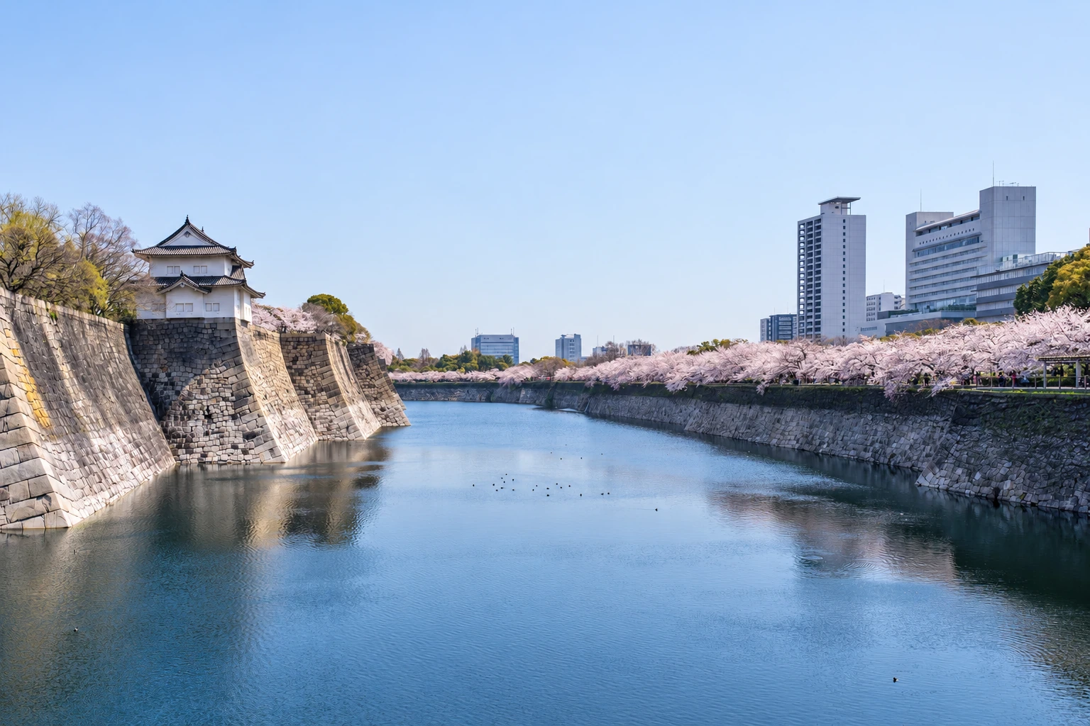 Kyoto — Water and city