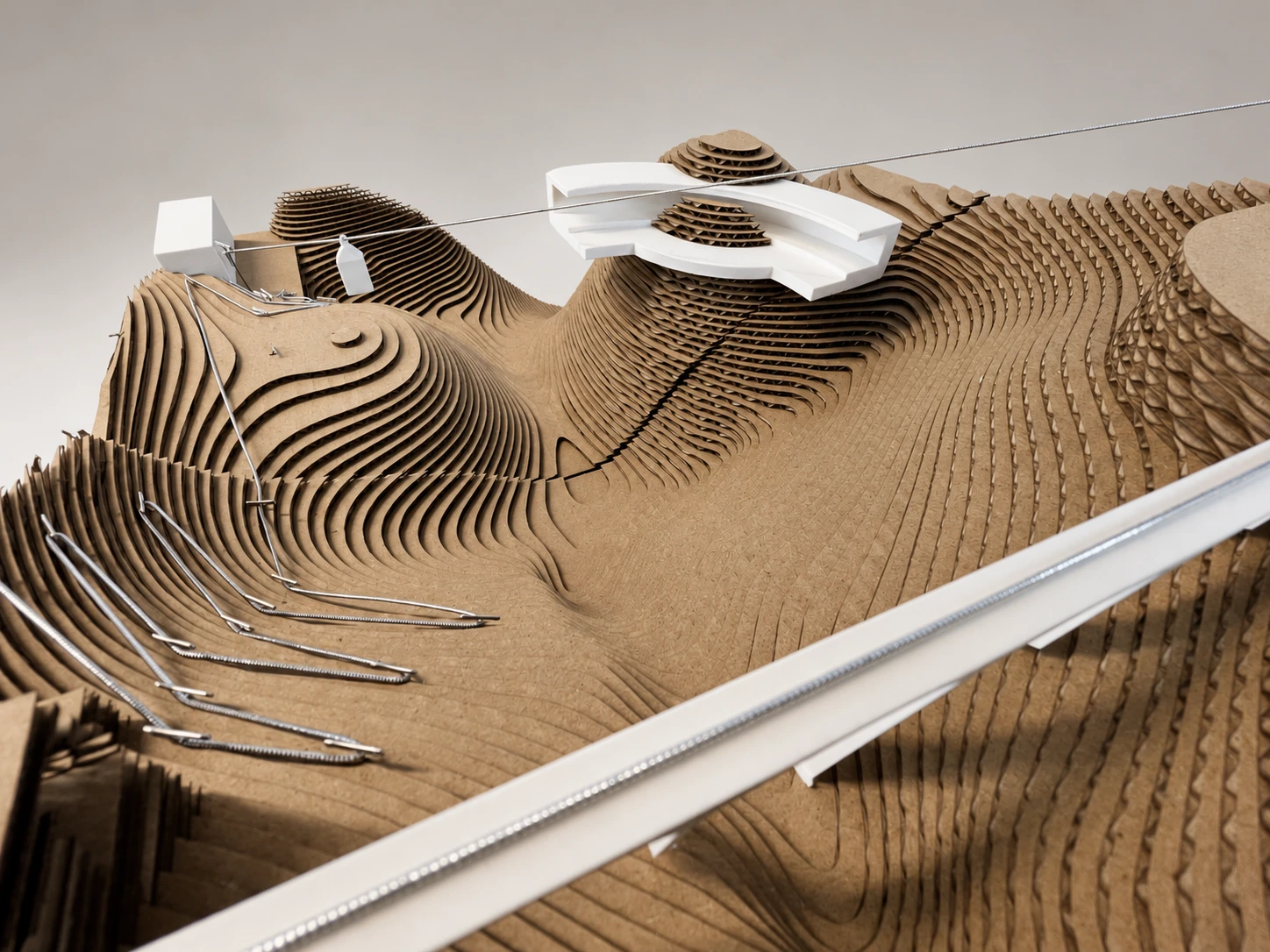 Model — landscape and intervention